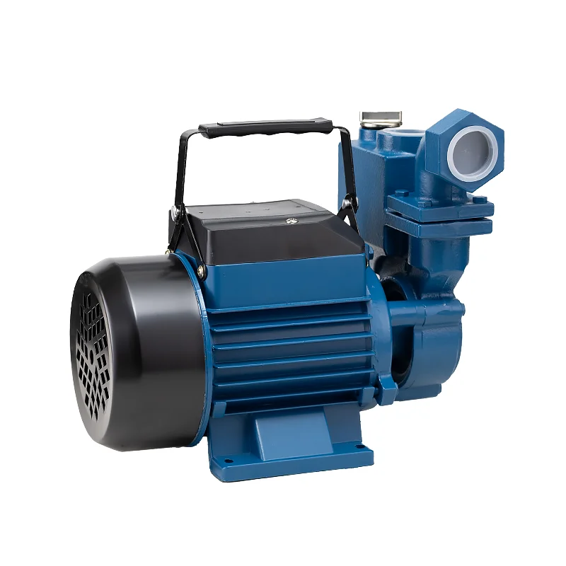 Bombas De Agua 1Hp Electric Self Priming Cleaning Water Supply Pressure Booster Pump Home for Irrigation