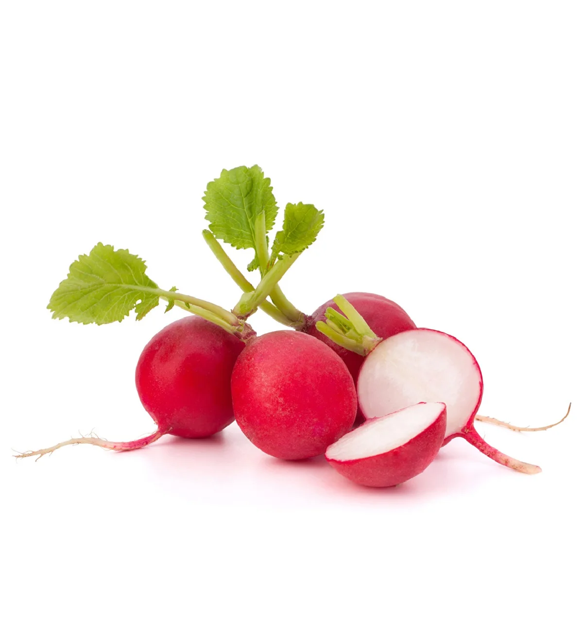 Non-GMO wholesale great taste food grade natural fresh vegetables from Uzbekistan fresh radish for food