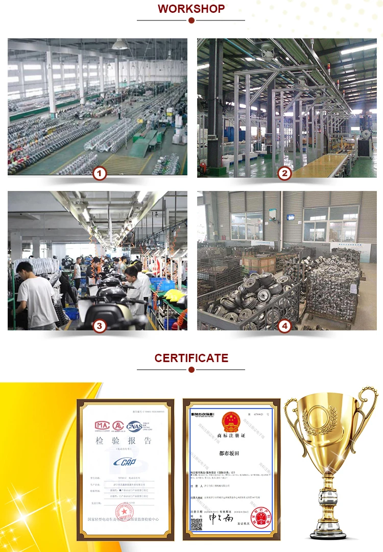 China factory customized production 350 watt -500 watt Indonesia Thailand popular electric bicycle 48V battery electric bicycle