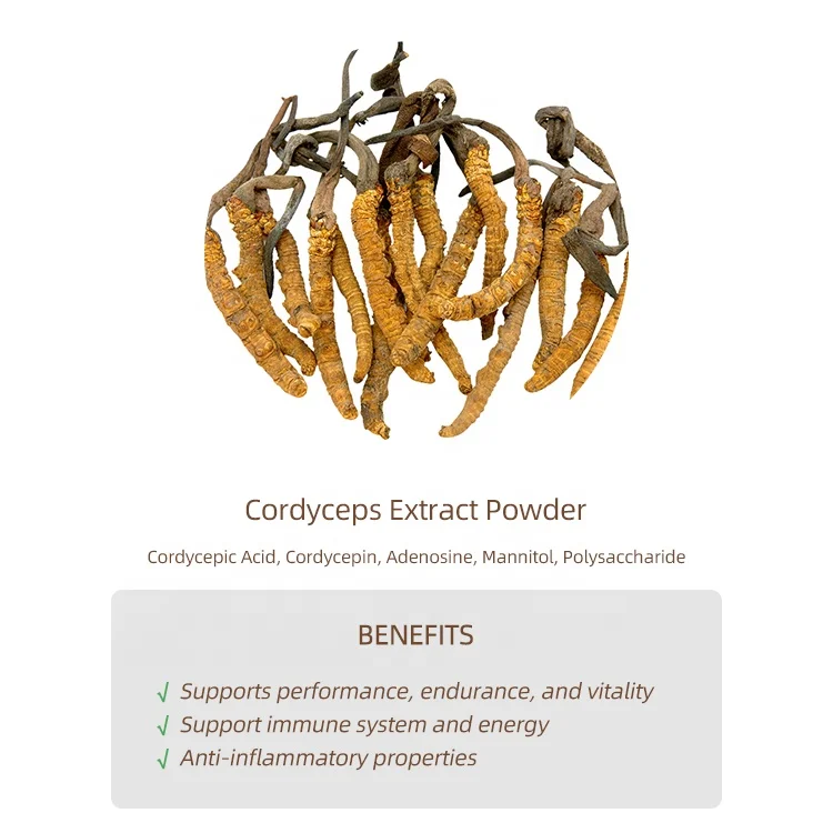 
Instant concentrated extract powder Cordyceps extract 