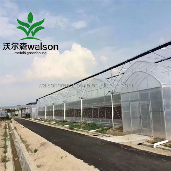 China Factory Export Cheap Greenhouse Farm Green House Design For Agriculture Production