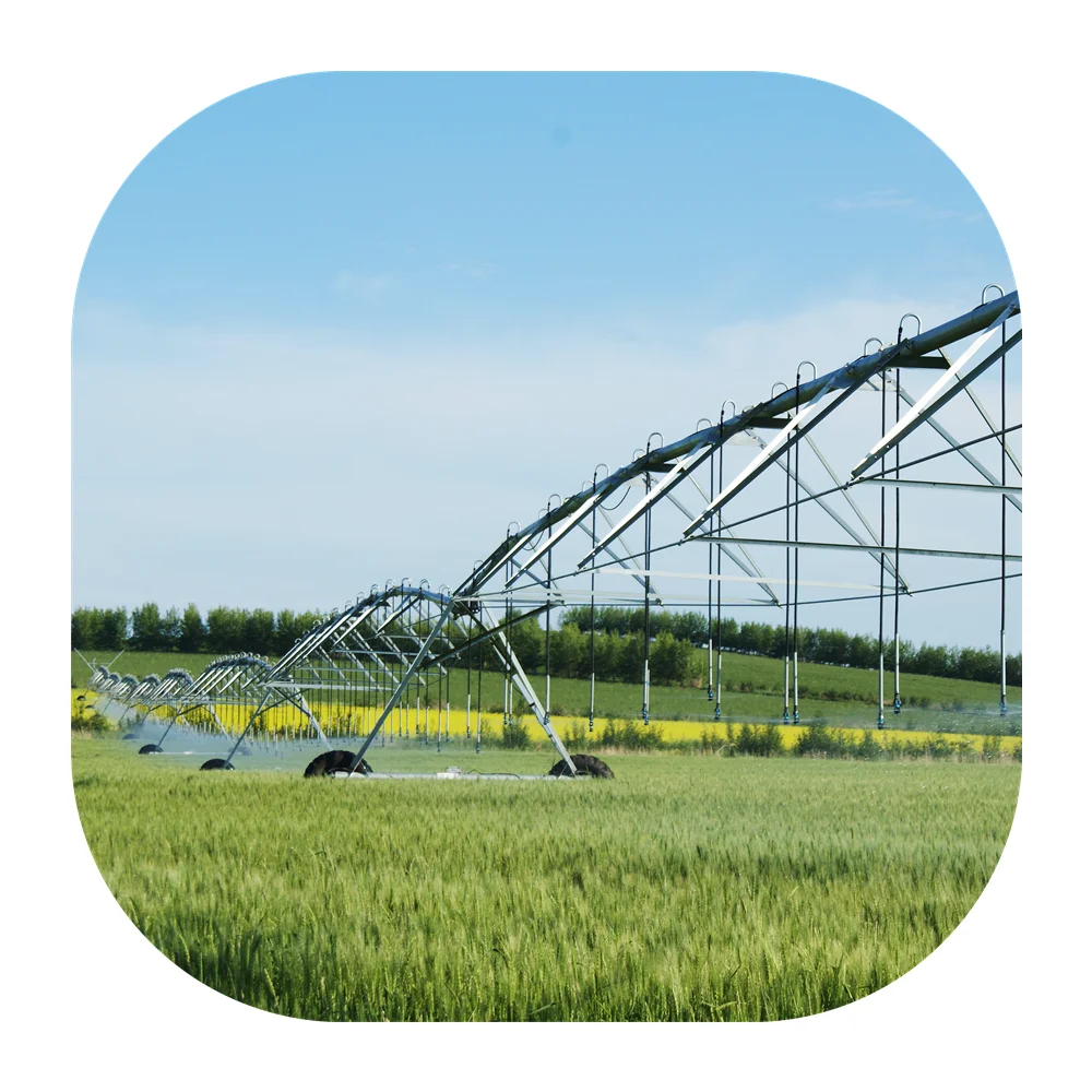 2022  Agriculture irrigation Top quality 20-100 hectare center pivot irrigation system