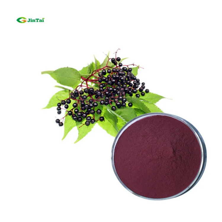 Bilberry 5% 25% Anthocyanins Elderberry Extract