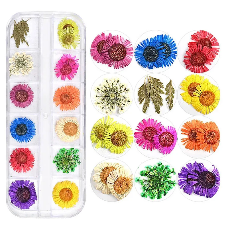 High Quality Various Combination Packages Natural Dried Flowers Pressed Flowers for Dried Flowers Nail Art