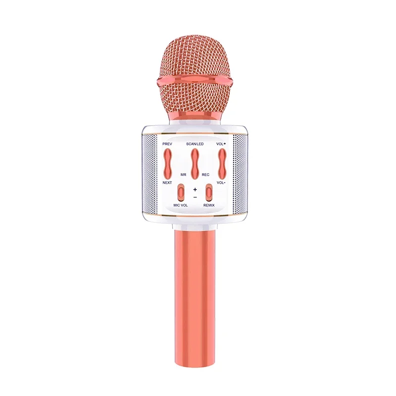 Factory OEM Portable Home Theater Karaoke Bluetooth Speaker With Surround Sound System Mini Wireless Microphone For KTV