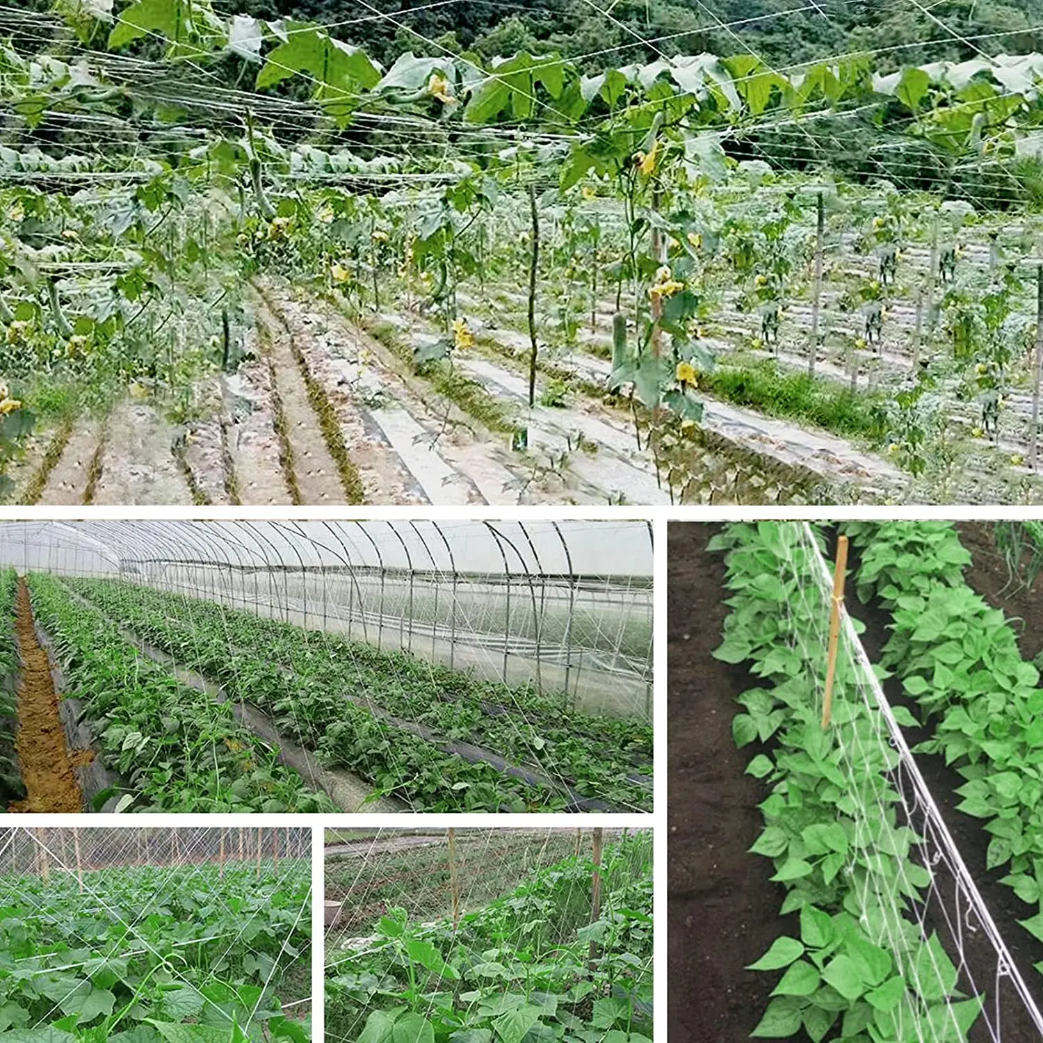 garden nylon polyester mesh anti climb planting extra heavy duty trellis netting