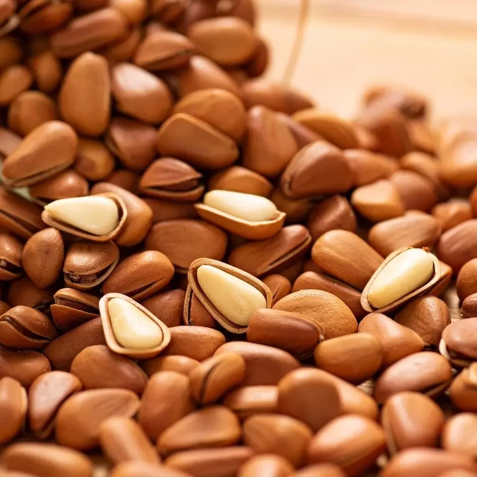 Hot Sale High Quality Organic No Additives Pure Natural Pine Nuts With Shell