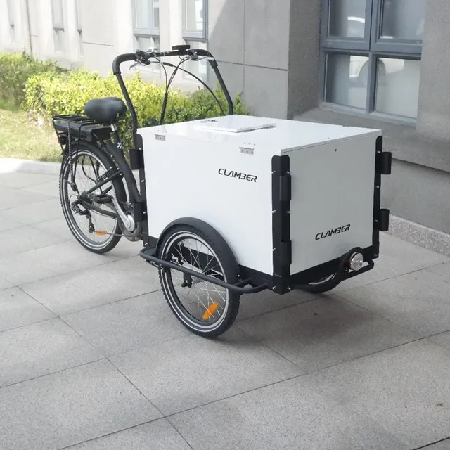 Electric cargo bike ice cream bike with front box loading for sale
