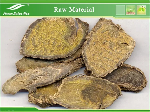 Curcuma Zedoary Root Extract Powder 4:1 to 20:1