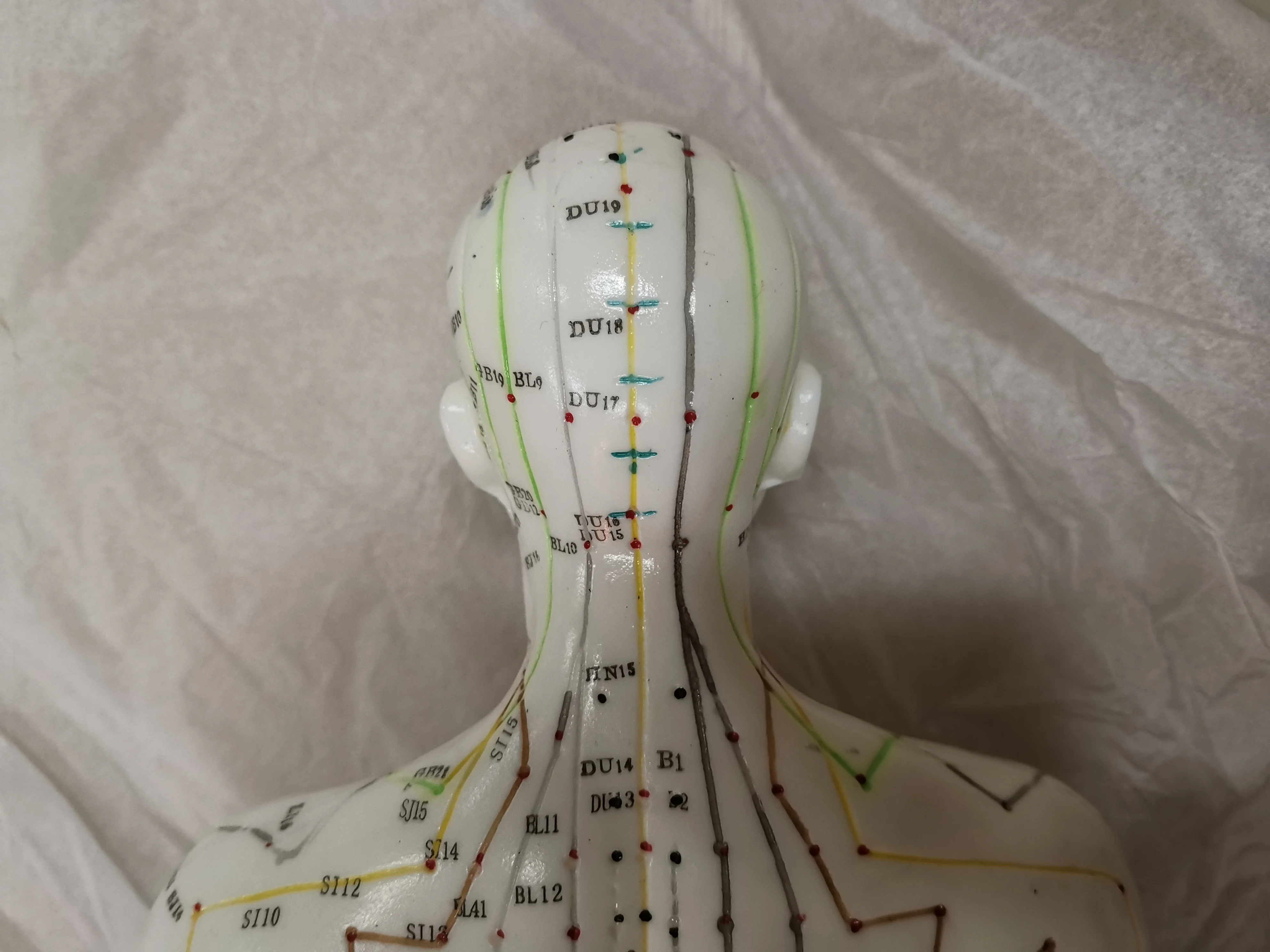 Top Quality 70CM Male Human Body Acupuncture Points Model Meridians Model Teaching Model English User Manual