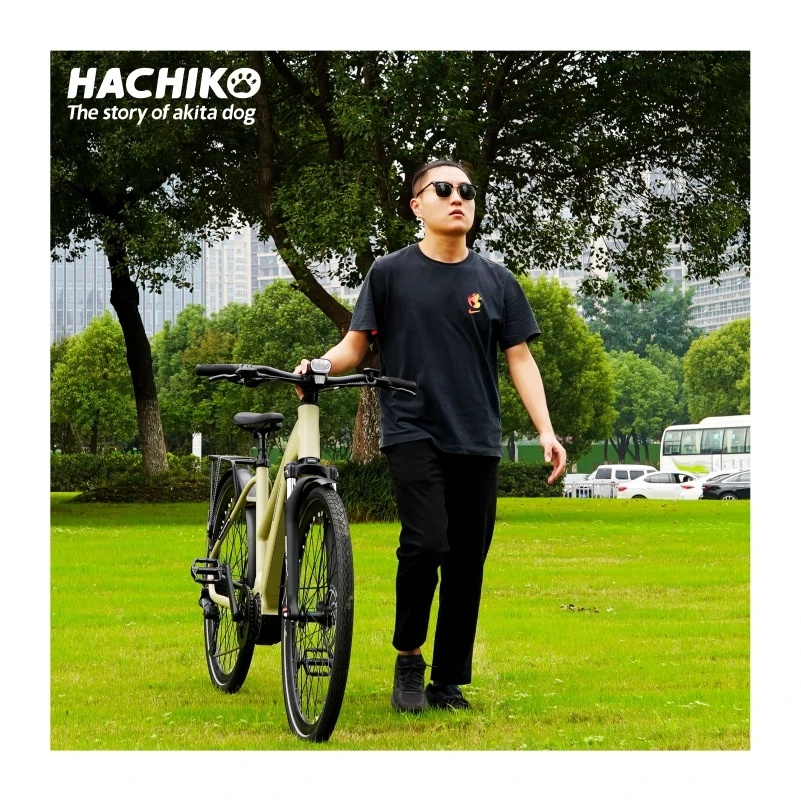Hachiko Exclusive electric mountain bike 250W MIVICE mid motor 48V 15Ah long range electric city bike