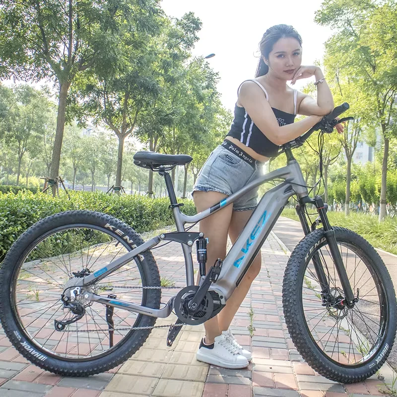 Bafang M600 27.5 Inch Electric Mountain Dirt Bike Rear Shock Absorbing Aluminum Alloy Frame 48V 500W  Mid Ebike  9 Speed Shifts