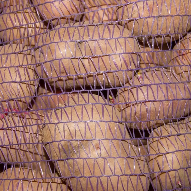 Wholesale cheap  Garlic Fruit Orange Packaging Net Bag PP/PE  Mesh Bag For Vegetable Potatoes Onions Firewood