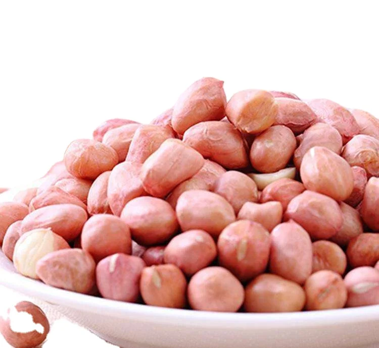 Бланшированный дробленый оптовый арахис сырой арахис мешок 25 кг арахис импортер в Сингапуре/sg