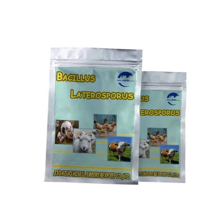 Probiotic 20 bilion cfu/g Bacillus Laterosporus for Cattle, Chicken, Horse, Pig, sow