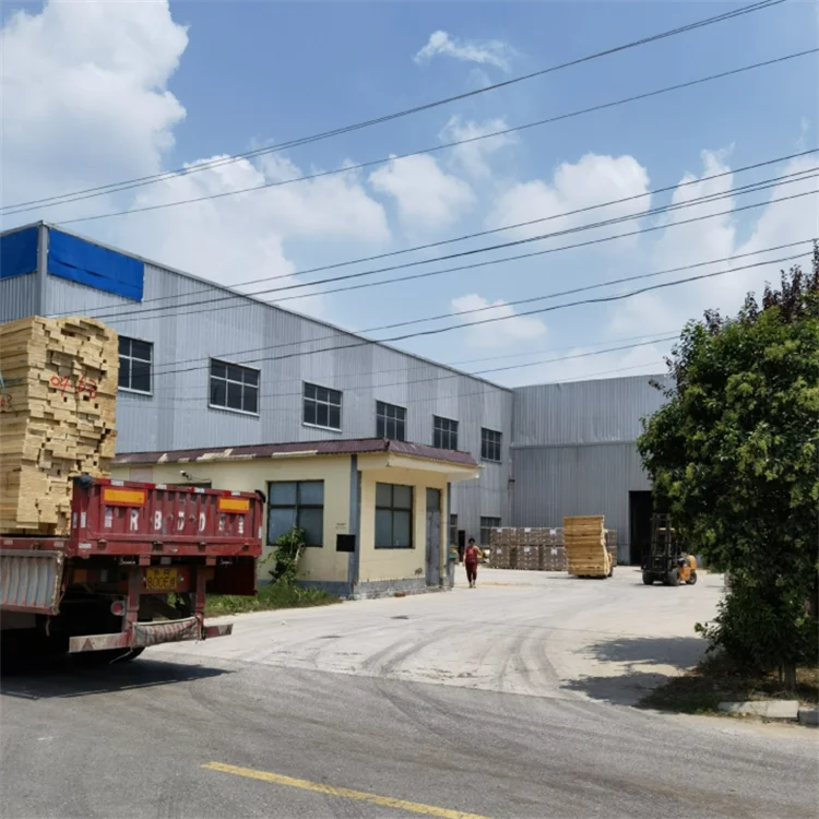 Dishes Snack Dessert Classic Plate Dinner Plates Easy Cleaning Lightweight Unbreakable Round Wood Plates For Food