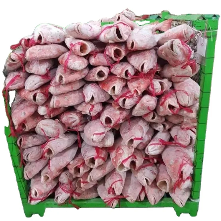 Good Sale Factory Wholesale  Red Snapper Fish