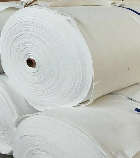 Non Woven Polypropylene Geo Fabric Needle Punch Nonwoven Knitted Geotextile for Highway