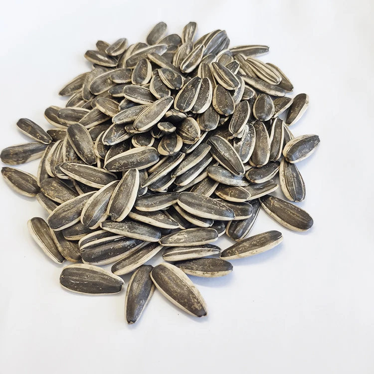 Crop sunflower seed 5009 market price for sale with export sunflower seeds