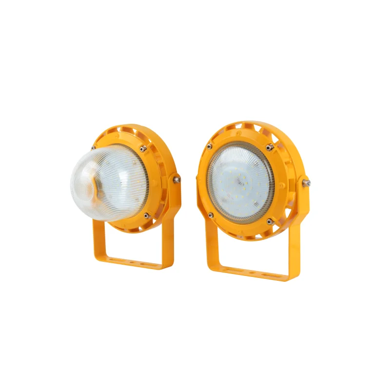 ATEX approved 220v 100w ex light fitting ceiling explosion proof LED lamps