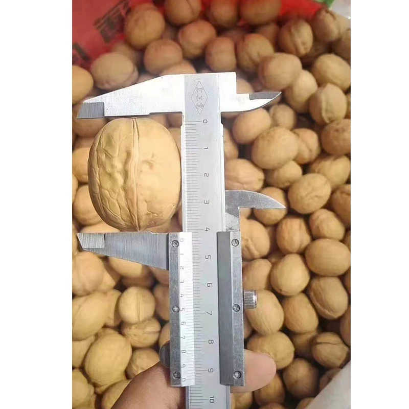 Xin 2 walnut wholesale price for Expoter and impoter