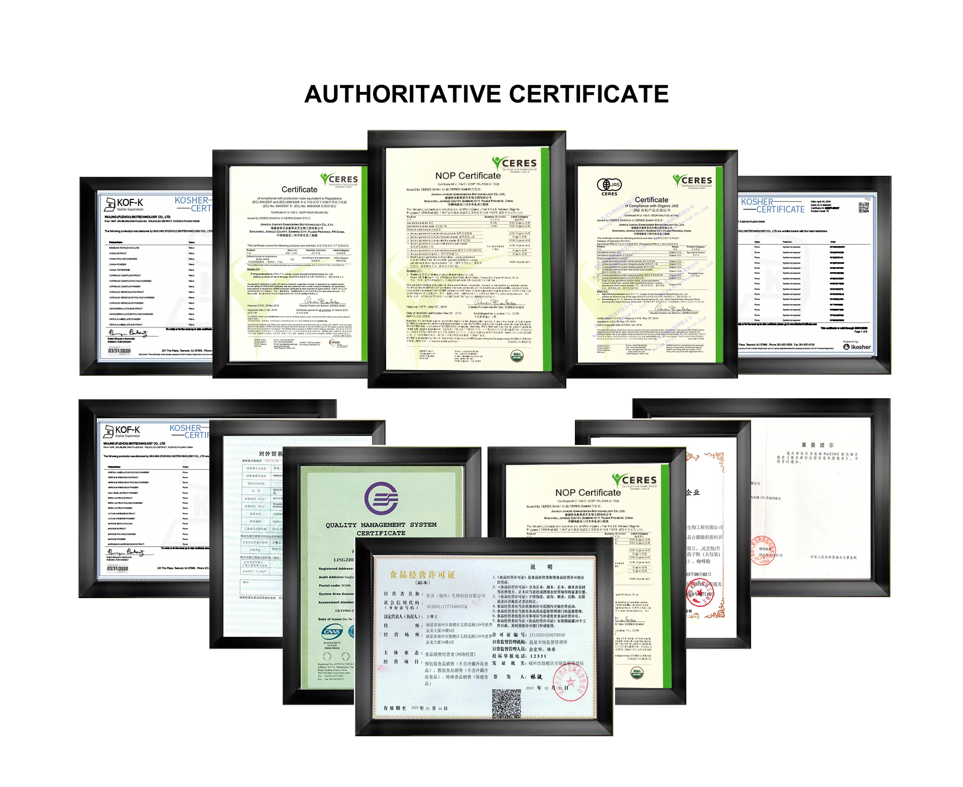 Organic Ganoderma Lucidum/ Lingzhi/ Reishi/  Extract Mushroom Herbal Supplements Powder