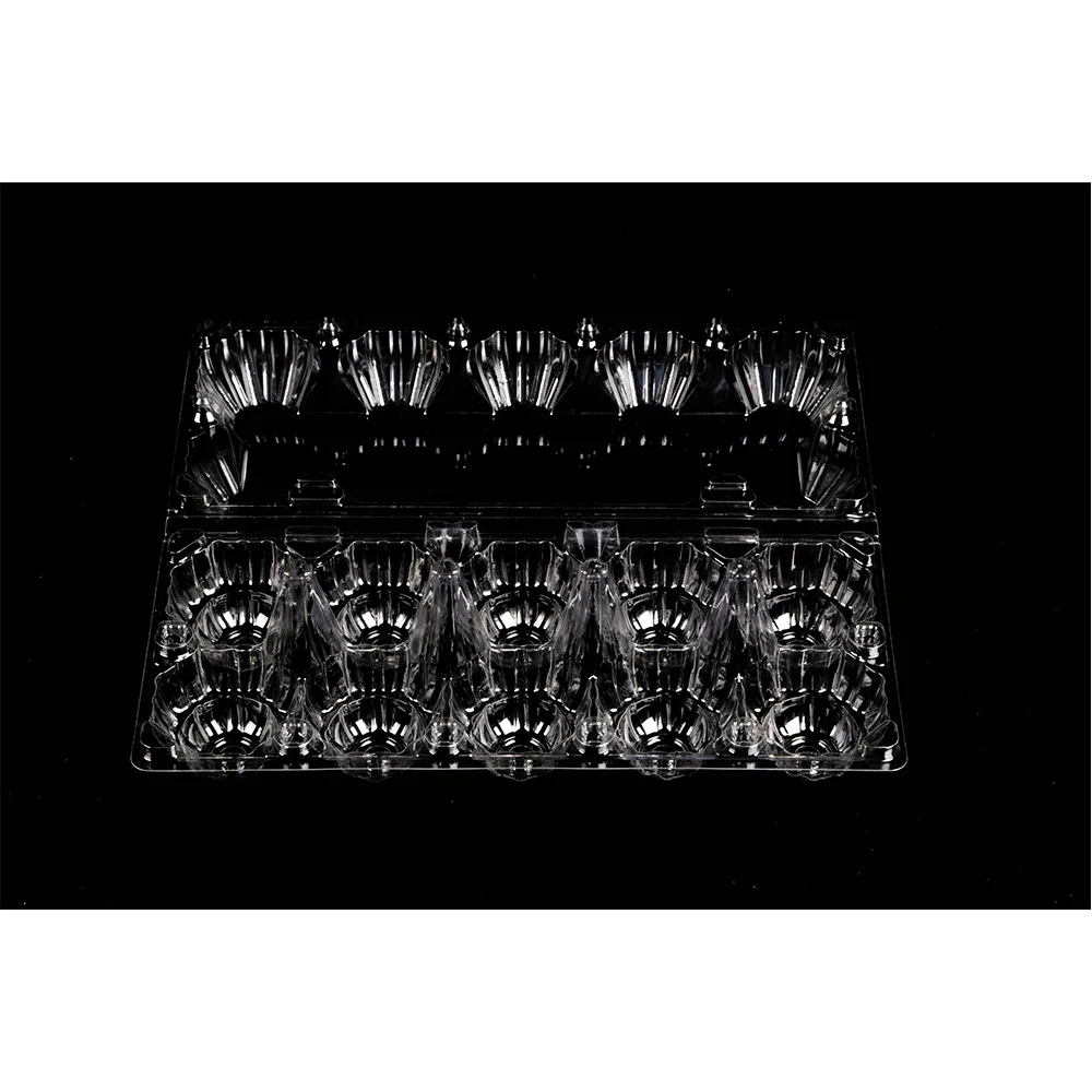 Wholesale Packing Storage Box Pulp Moulding Processing Transparent Disposable Plastic Egg Tray