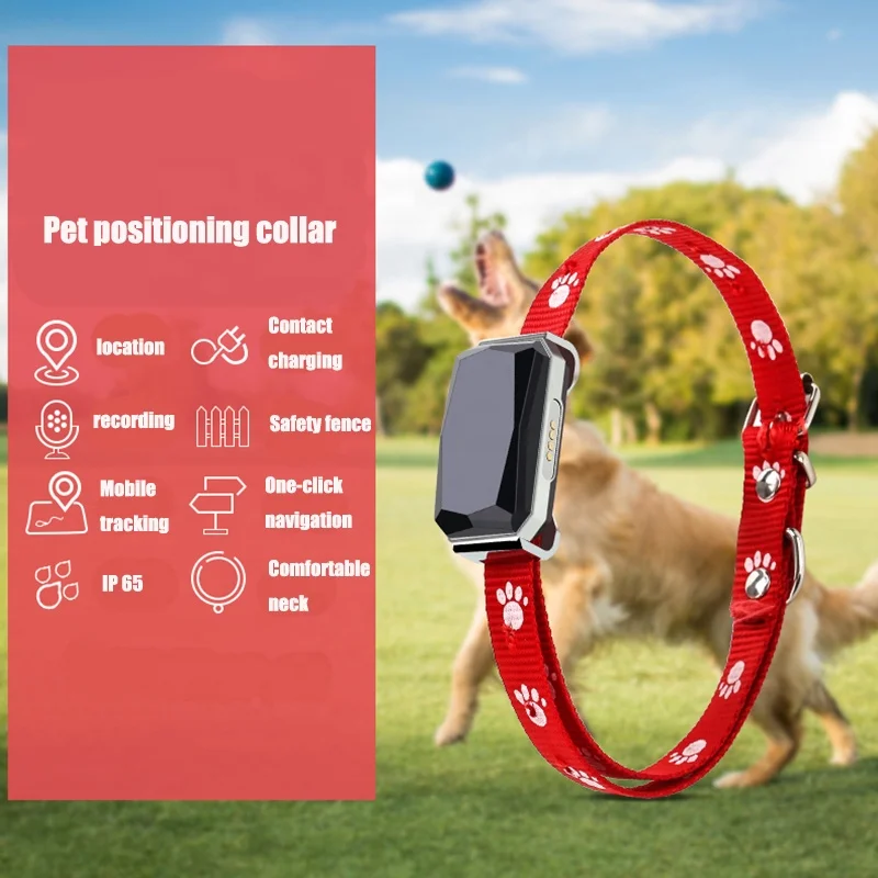 Lorenzo OEM Smart Container Bird Hidden 2023 GPS Phone Dog Pet Relay Wireless Micro 4g Magnetic Mini Small Low Cost GPS Tracker