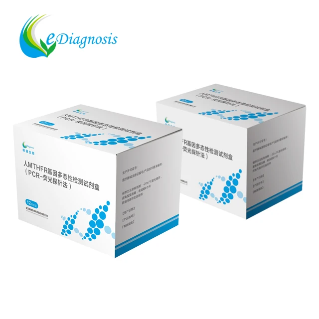 
MTHFR gene polymorphism detection kit 