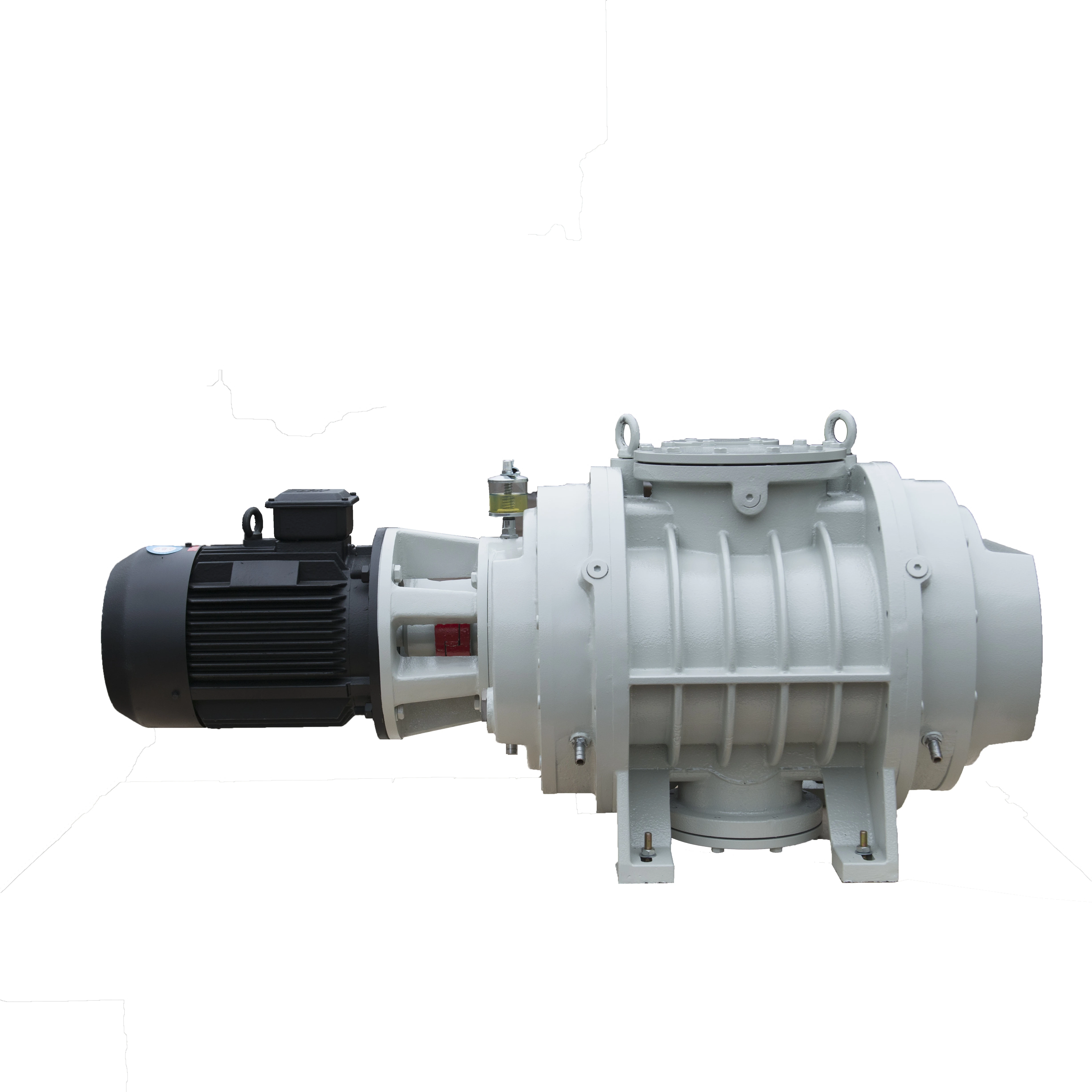 ZJP Roots Vacuum Pump for Vacuum Coating