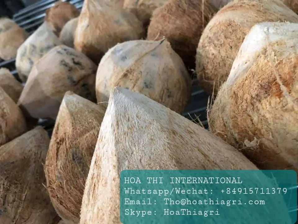 One Year Shell Life Semi Husked Coconut From Vietnam High Quality - Best Price for Export Origin From Vietnam