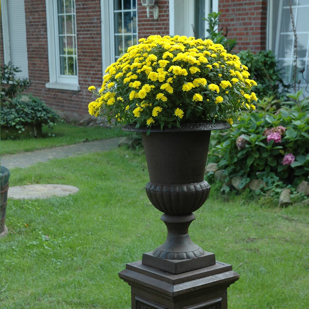 Esschert Design Cast iron outdoor garden planter plant pot, stand tall flower pot