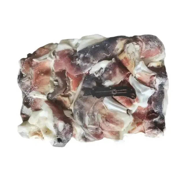 Frozen Good Quality  Giant squid neck block frozen whole