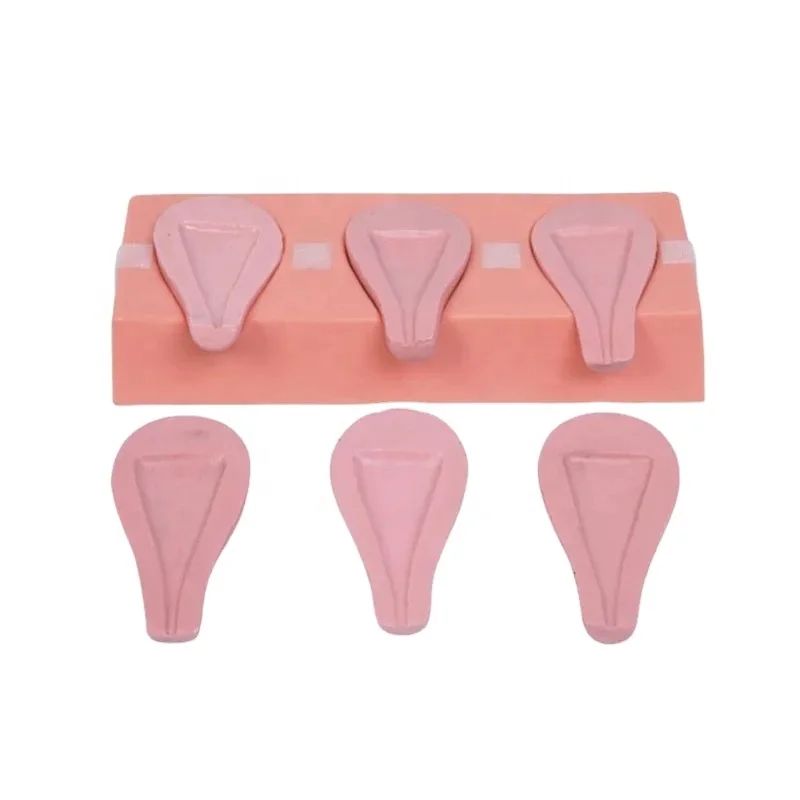 DARHMMY Advanced Medical Science Abortion Simulation Uterus Model for Maternity Care