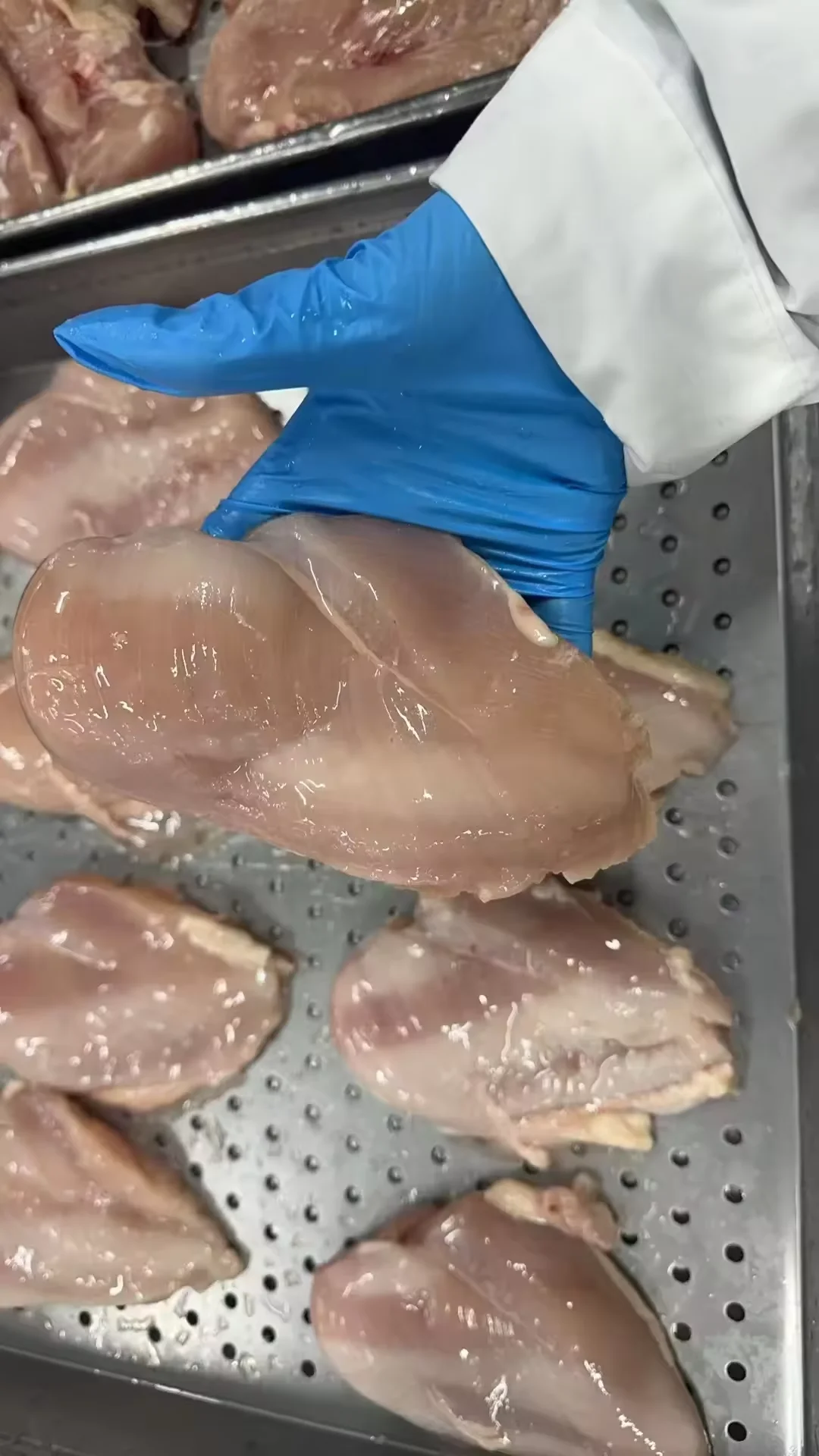 China Supplier Halal Low-Fat Boneless Skinless Frozen Chicken Breast