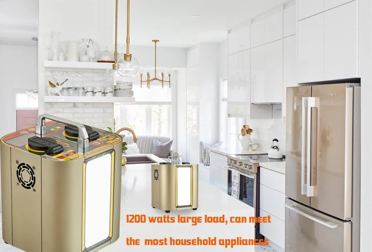 Excellent build quality P06pro 1200W AC/DC Output 110v/220v Portable Power Station