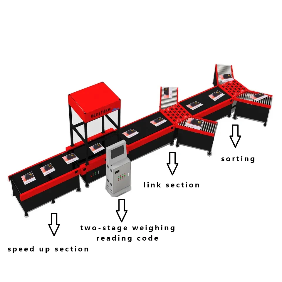 Dynamic Barcode Scan DWS Cubiscan System Parcel Machine Dimensioning Weighing And Scann Sorting Line
