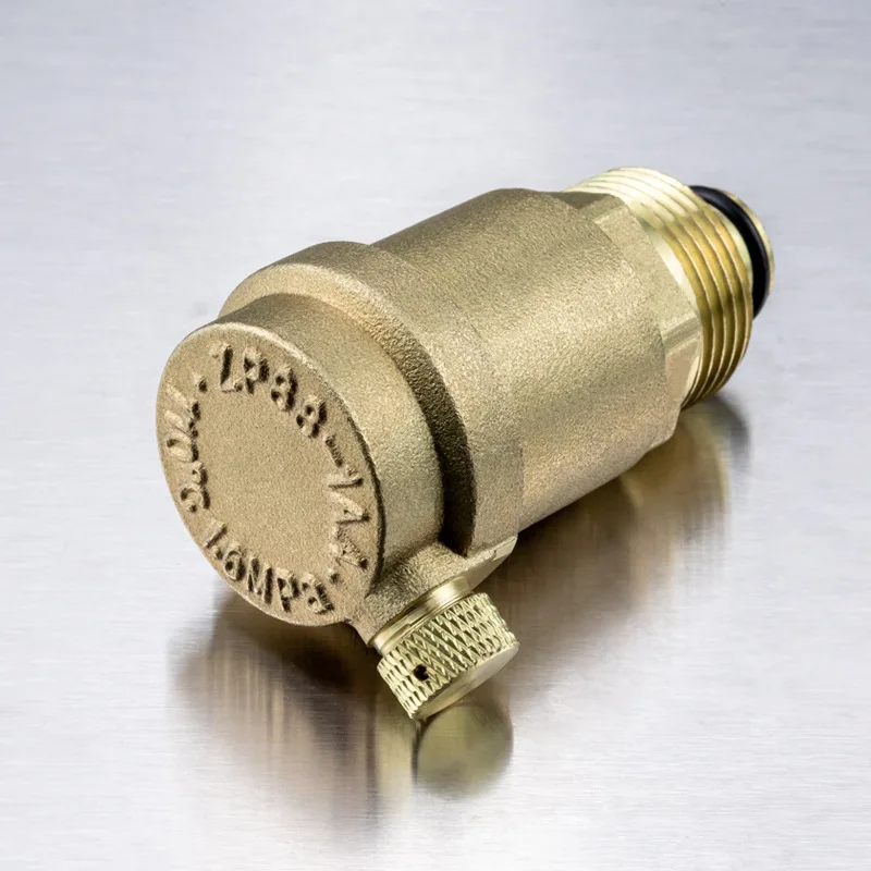 Valve Brass Quick Automatic Thread Outer Wire Pipe Plumbing Fire Protection DN15 Wholesale One-Way Exhaust Valve