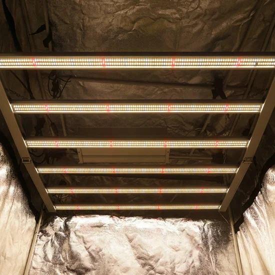 Shenzhen Led Grow Light Customized 600w Grow Lights Full spectrum LED Grow Lights for Indoor Plants Growing Flower Stage Seeds