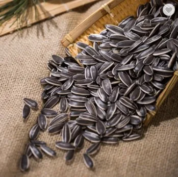 Manufacturer roasted and salted sunflower seeds sunflower roasted seed
