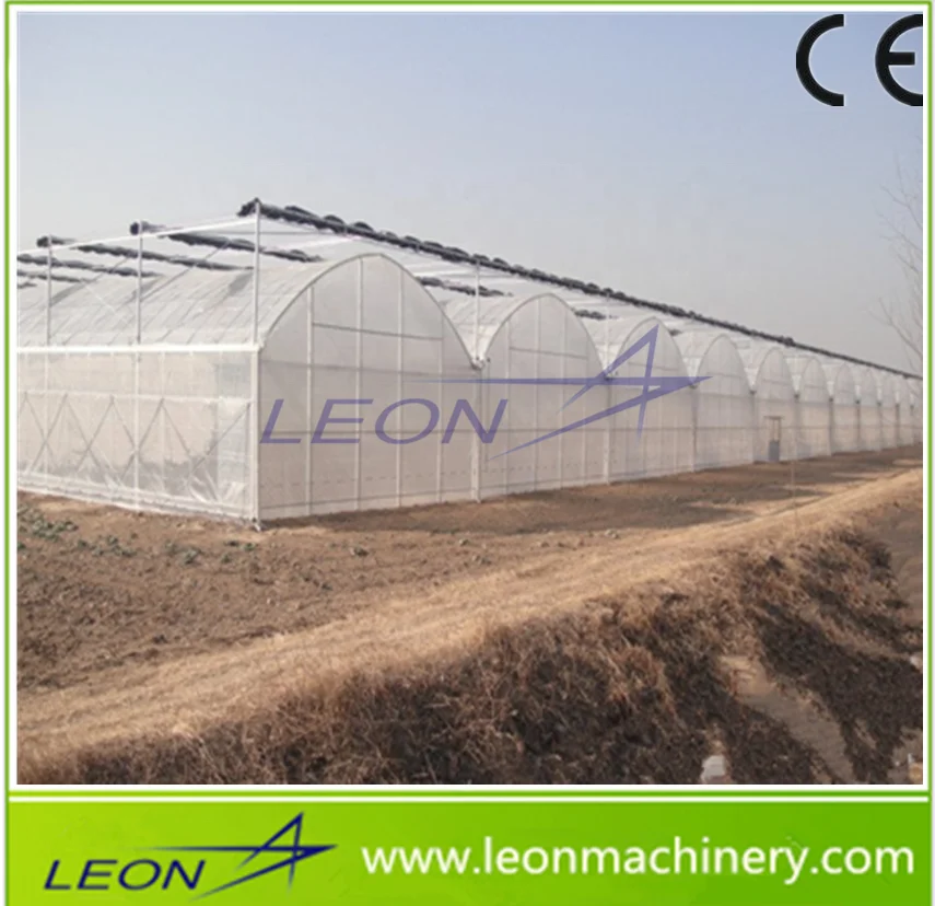 
Leon series best price hot sale plastic film and polycarbonate sheet greenhouse for sale 