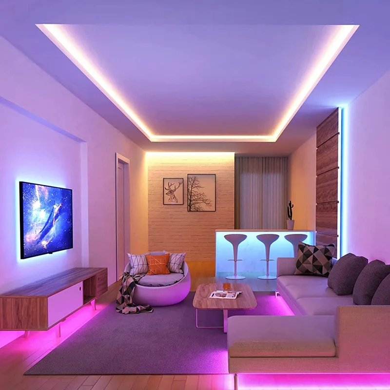 outdoor RGB 12V 24V IP68 IP65 cold white warm white remote control flexible silicone tube led strip for decoration  boat car