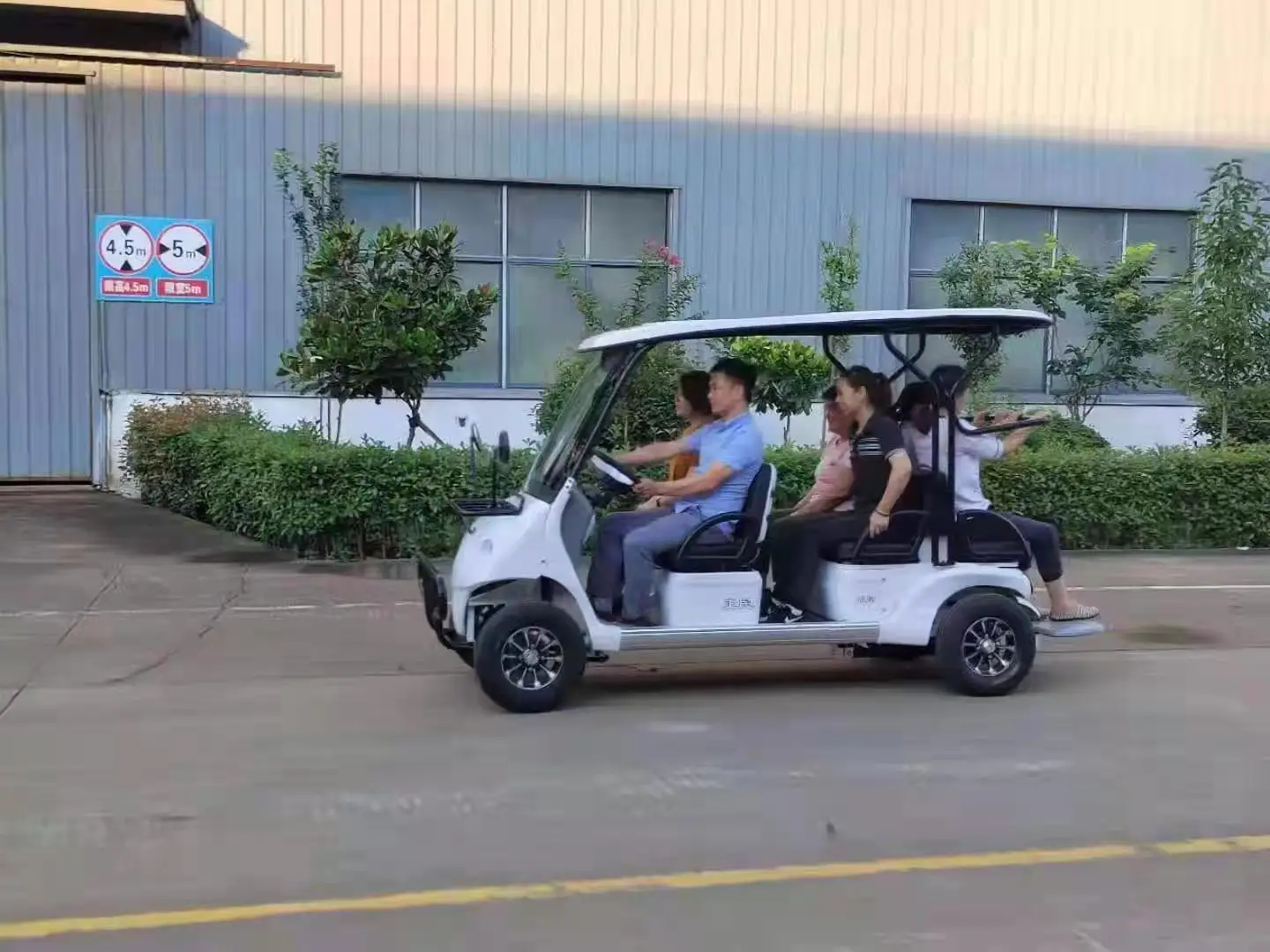adult electric vehicle new energy car