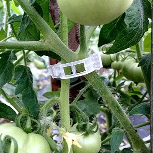 50PCS/Bag Plant Support Garden Clips,Tomato Vine Clips,Tomato Trellis Clips  for Vine Vegetables Tomato to Grow Upright