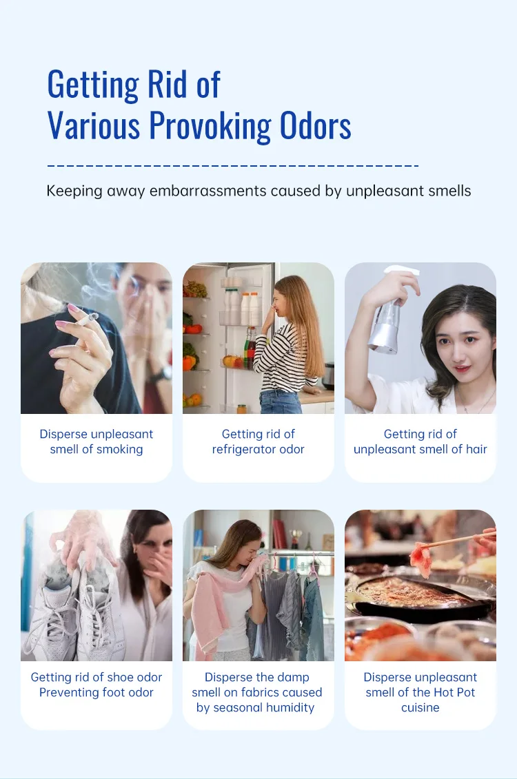 ozone water sprayer (13)