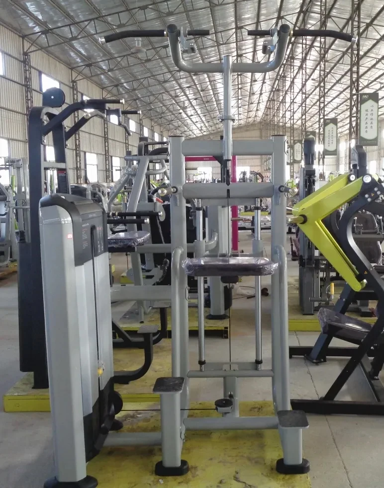 Factory Direct Sale Dip Chin Assist Machine Commercial Gym Pin Loaded Fitness Equipment Assisted Chin Up Dip Machine