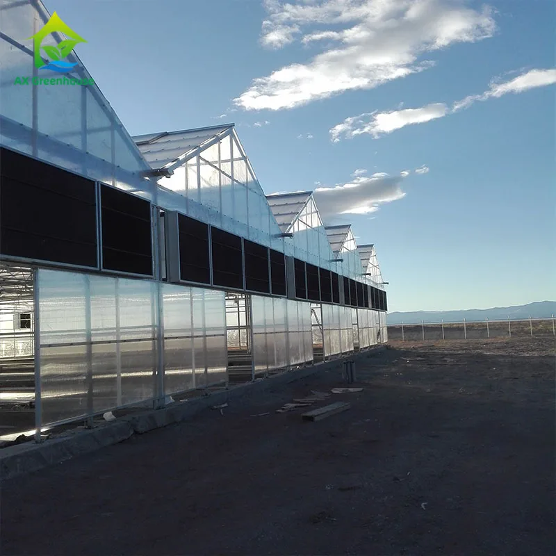 Blackout Greenhouse Control by Climate