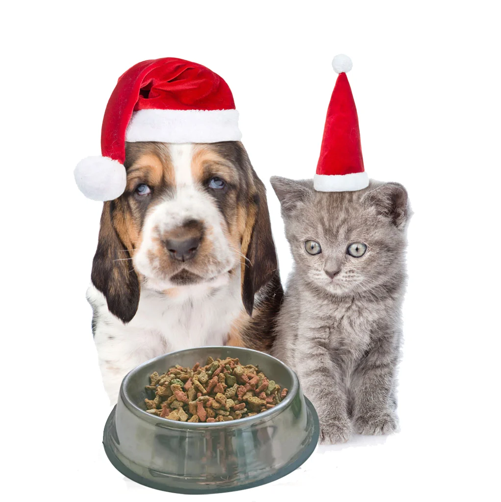 
Classic Crunchy and Soft Cat Treats Indoor Weight & Hairball Care Dry Cat Food Dry Cat Food Original Fish Shape 