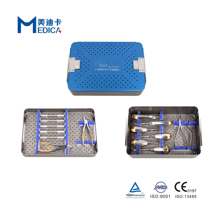 Veterinary Small Animal Dental Instruments Kit