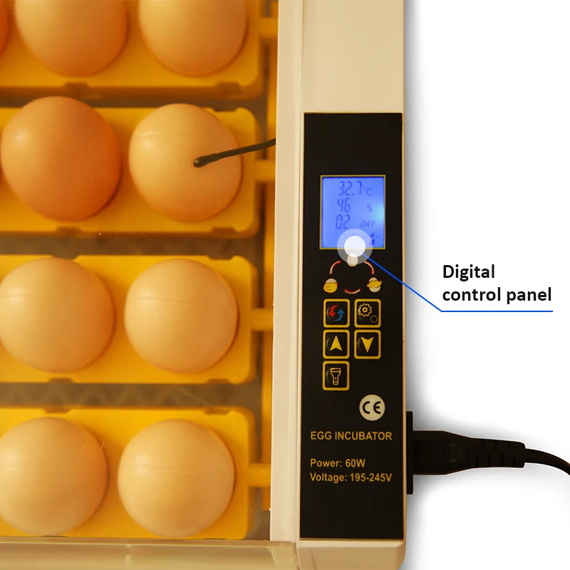 Factory Price HHD Digital Fully Automatic Egg Incubator 24 Eggs Poultry Hatcher For Chickens Incubator For Sale